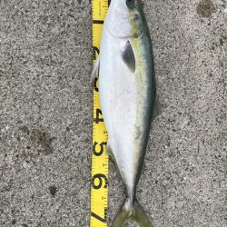 今シーズン初釣行