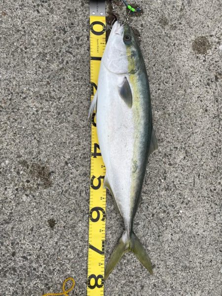 今シーズン初釣行