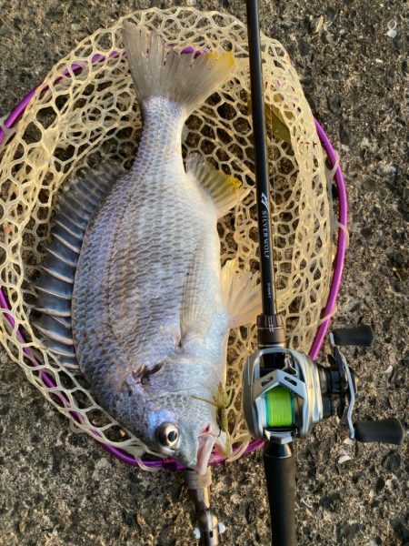 超爆風チニング！