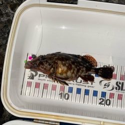 カサゴマンションかタワー