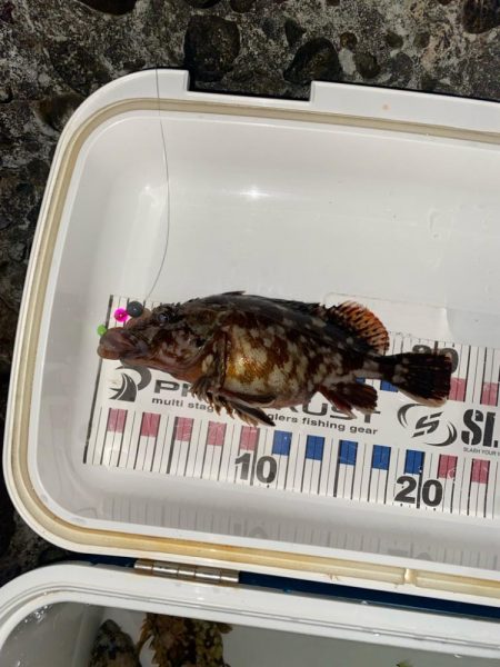 カサゴマンションかタワー