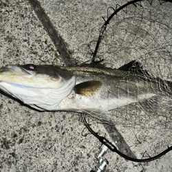 良い流れから出た2本