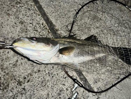 良い流れから出た2本
