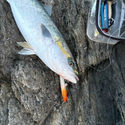 ショアプラッキング