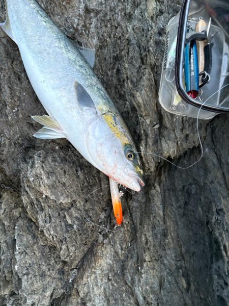 ショアプラッキング