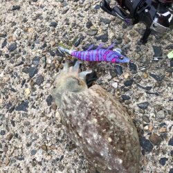 ポカポカ陽気に誘われて