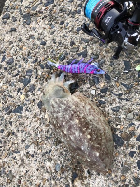 ポカポカ陽気に誘われて