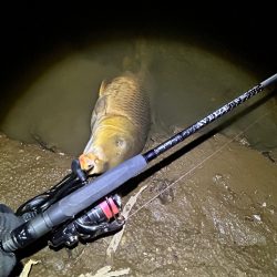 ボトムのカーピング！