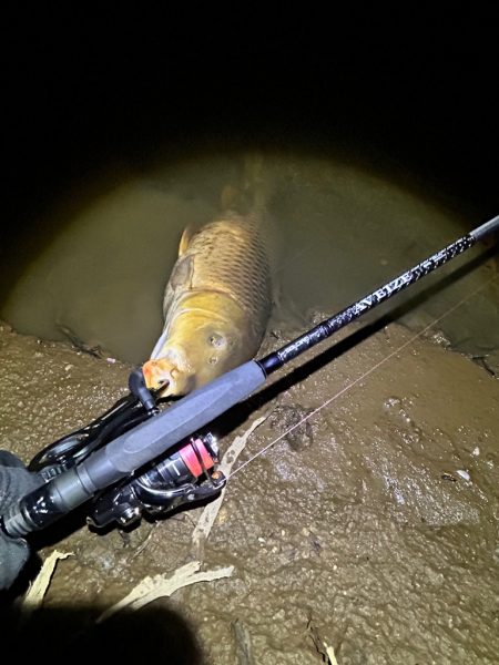 ボトムのカーピング！