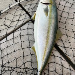 前回のリベンジ達成？