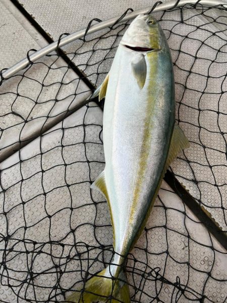 前回のリベンジ達成？