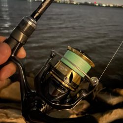 淀川ブリームゲーム