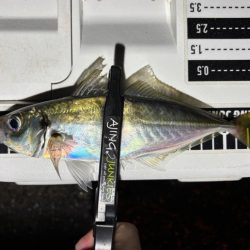 多少の雨なら行く！