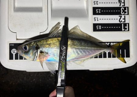 多少の雨なら行く！