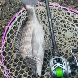 チニングでツ抜け！