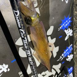 深夜ライトゲーム