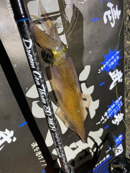 深夜ライトゲーム