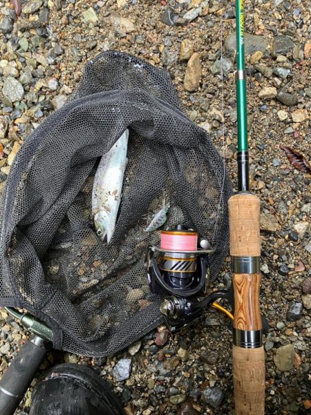 桜前線到達前、降雨前線通過