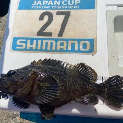 シロギスタ:サグリスタ