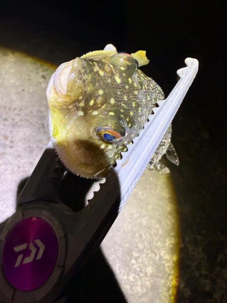 惜しくも尺届かず!!