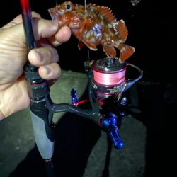 ライトゲーム五目　in養老