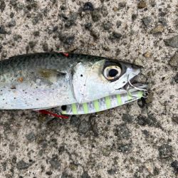 またしても…。