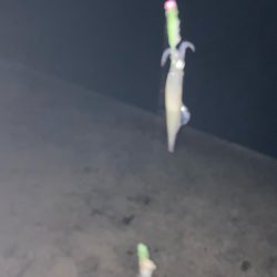 シーズン終盤(⁎⁍̴̆Ɛ⁍̴̆⁎)