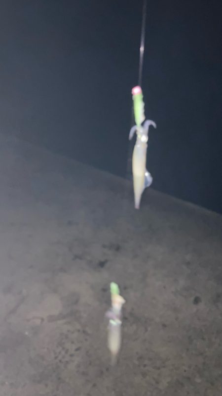 シーズン終盤(⁎⁍̴̆Ɛ⁍̴̆⁎)