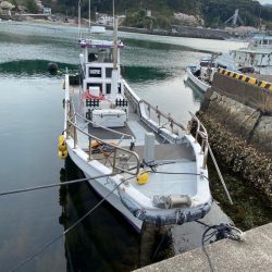 イカメタル＆バチコン