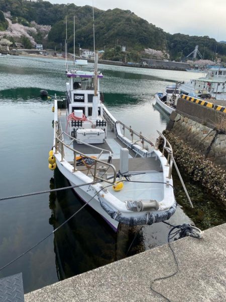 イカメタル＆バチコン