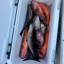 伝馬で沖にでました