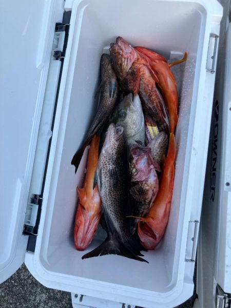 伝馬で沖にでました