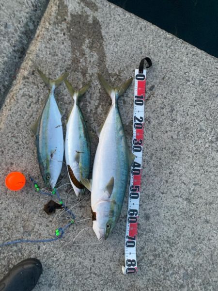 2年ぶりの70センチ台