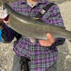 久しぶりのエリアニジマス