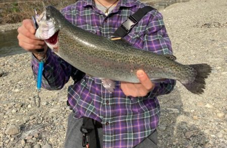 久しぶりのエリアニジマス