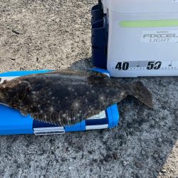 青物とアオリイカ狙いのウキ釣り