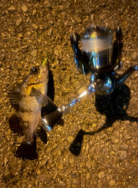 近場でライトゲーム