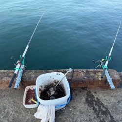 ホッケｯケのケー