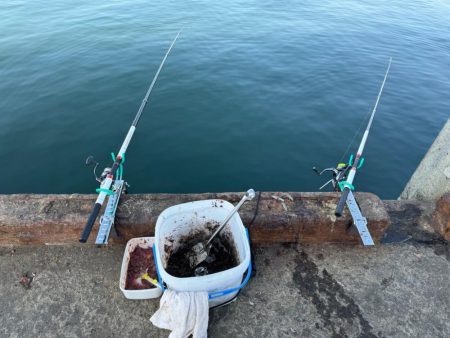 ホッケｯケのケー