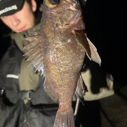 地磯でメバリング