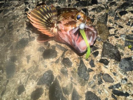 サーフ？絡みの堤防