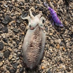 どちらも寒かった〜