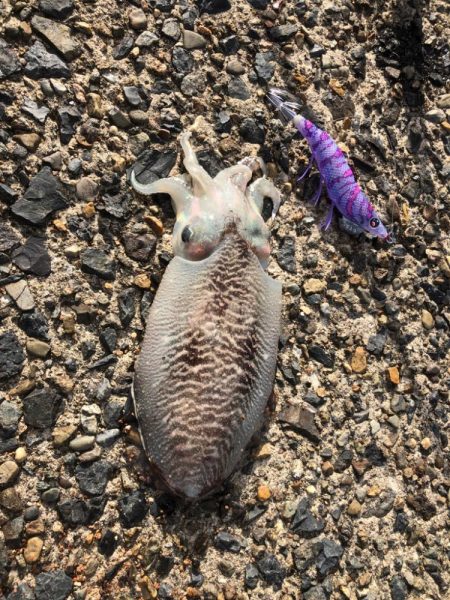 どちらも寒かった〜