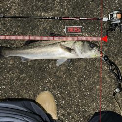 悶絶からの至福のシーバスフィッシング！
