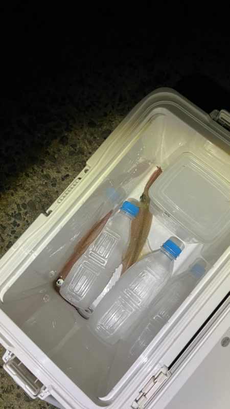 初めての3桁٩( ᐛ )و