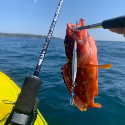 カヤックフィッシング