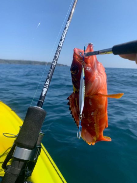 カヤックフィッシング