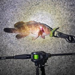 シーズン開幕✌️