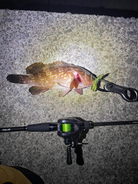 シーズン開幕✌️…