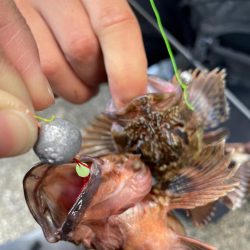 ショアジギ不発からの穴釣り